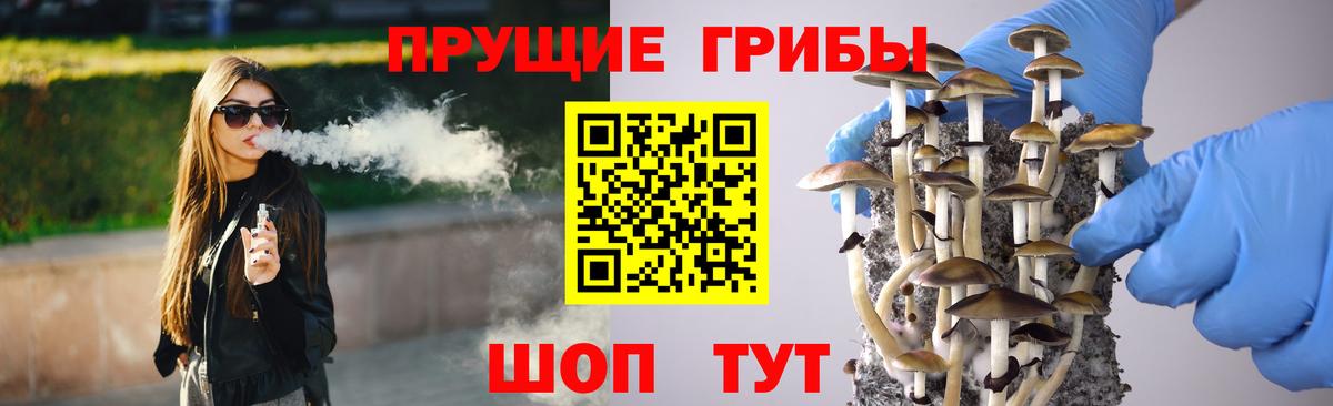 Галлюциногенные грибы Psilocybe Усть-Джегута